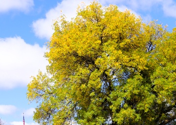 2025 Fall Colors at Fort McCoy
