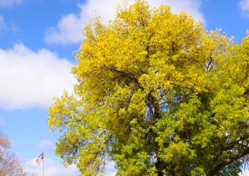2025 Fall Colors at Fort McCoy
