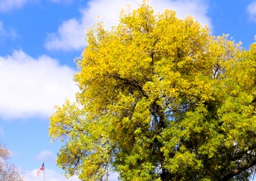 2025 Fall Colors at Fort McCoy