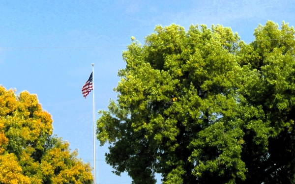 2025 Fall Colors at Fort McCoy