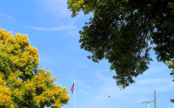 2025 Fall Colors at Fort McCoy