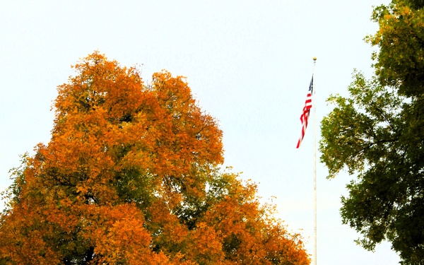 2025 Fall Colors at Fort McCoy