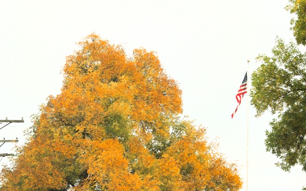 2025 Fall Colors at Fort McCoy
