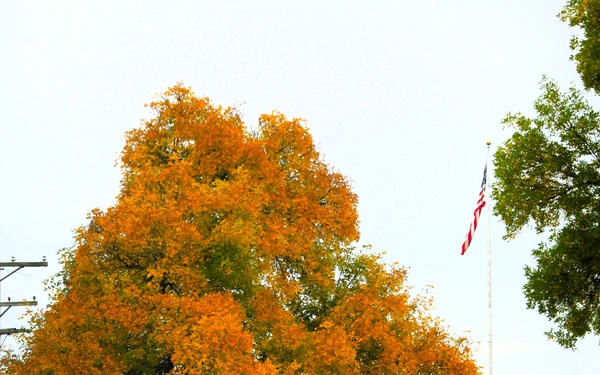 2025 Fall Colors at Fort McCoy