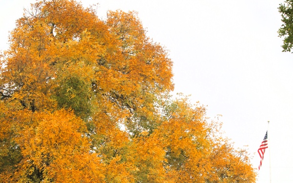 2025 Fall Colors at Fort McCoy