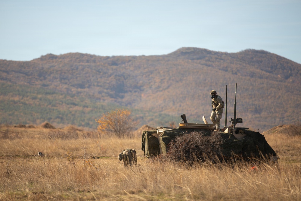 1st Infantry Division Conducts Mortar Training at Novo Selo Training Area, Bulgaria
