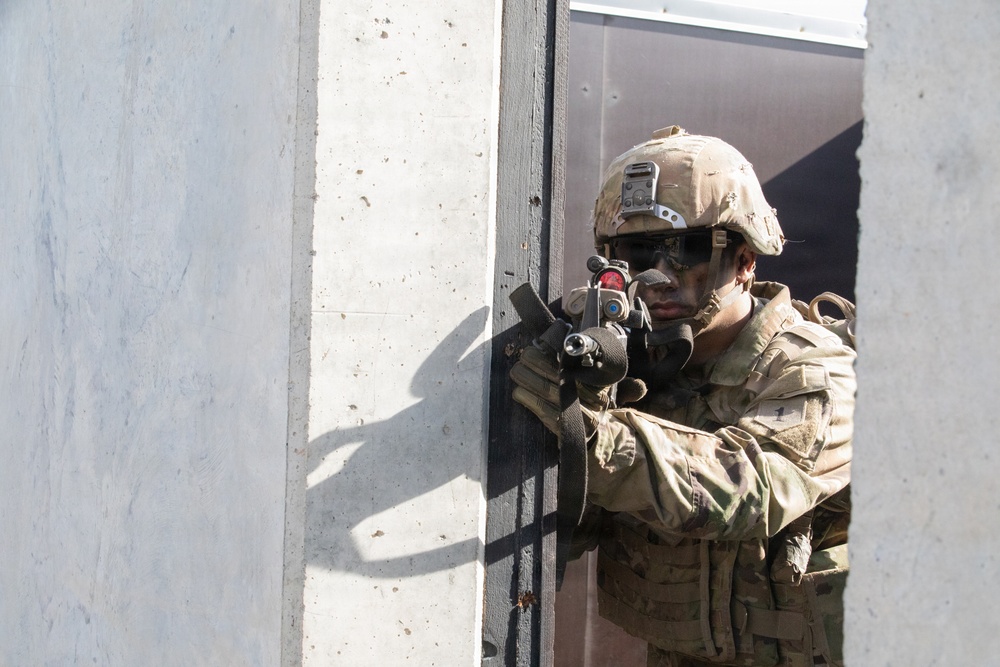 1st Infantry Division Conducts Mortar Training at Novo Selo Training Area, Bulgaria