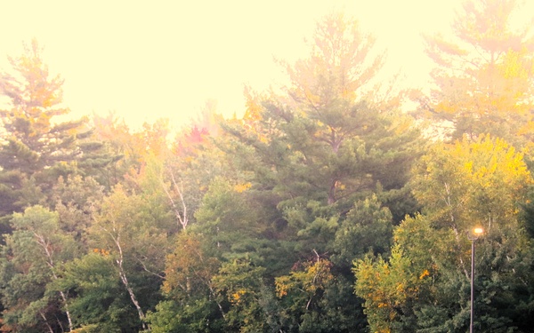 Fort McCoy Commemorative Area on Patriot Day 2025