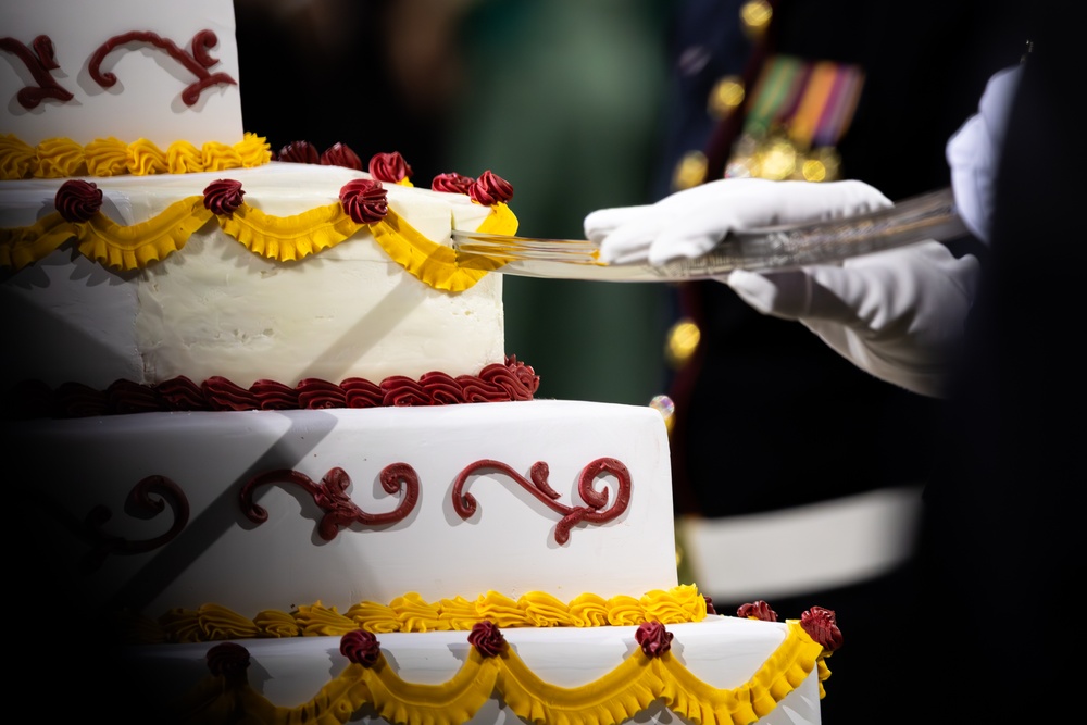 Marine Forces Reserve and Marine Forces South Celebrate the 250th Marine Corps Birthday