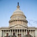 Mississippi Army National Guard Soldiers take a picture in front of the U.S. Capitol