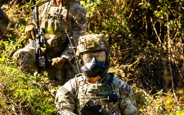 4-9IN Conducts Combined Training with ROK-A Proving Interoperability Lethality