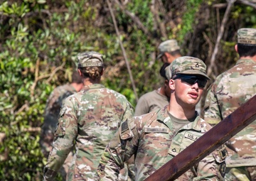 Hurricane Melissa Clean Up