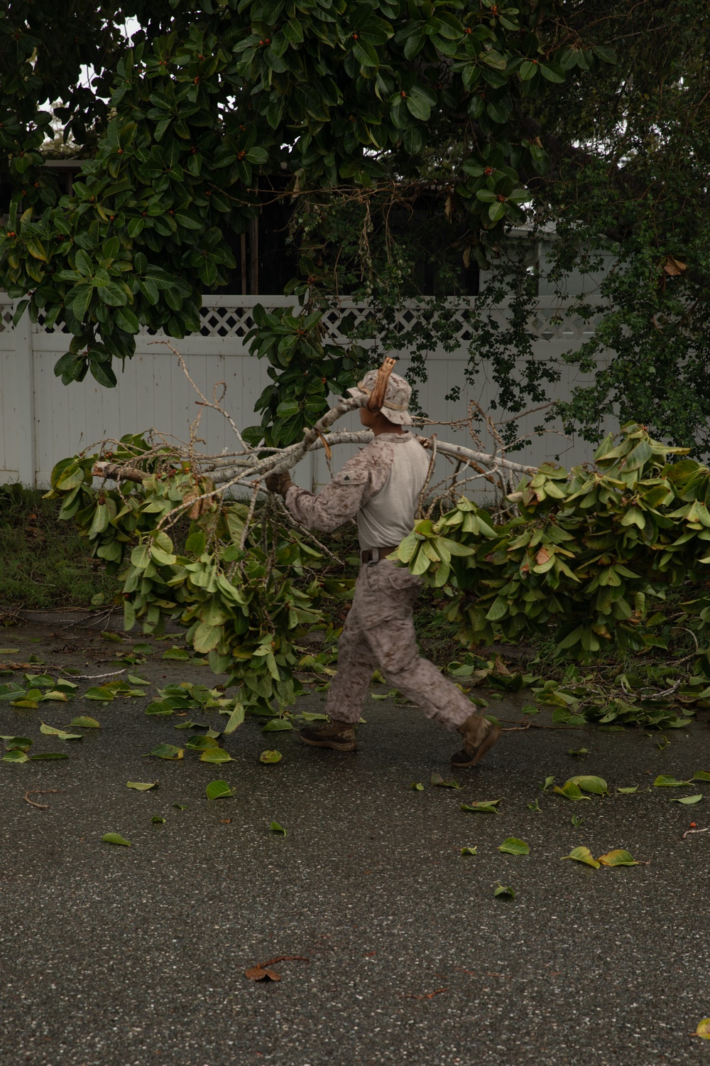 Joint Task Force Southern Guard clears Hurricane Melissa debris on Naval Station Guantanamo Bay, Cuba
