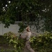 Joint Task Force Southern Guard clears Hurricane Melissa debris on Naval Station Guantanamo Bay, Cuba