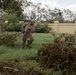 Joint Task Force Southern Guard clears Hurricane Melissa debris on Naval Station Guantanamo Bay, Cuba