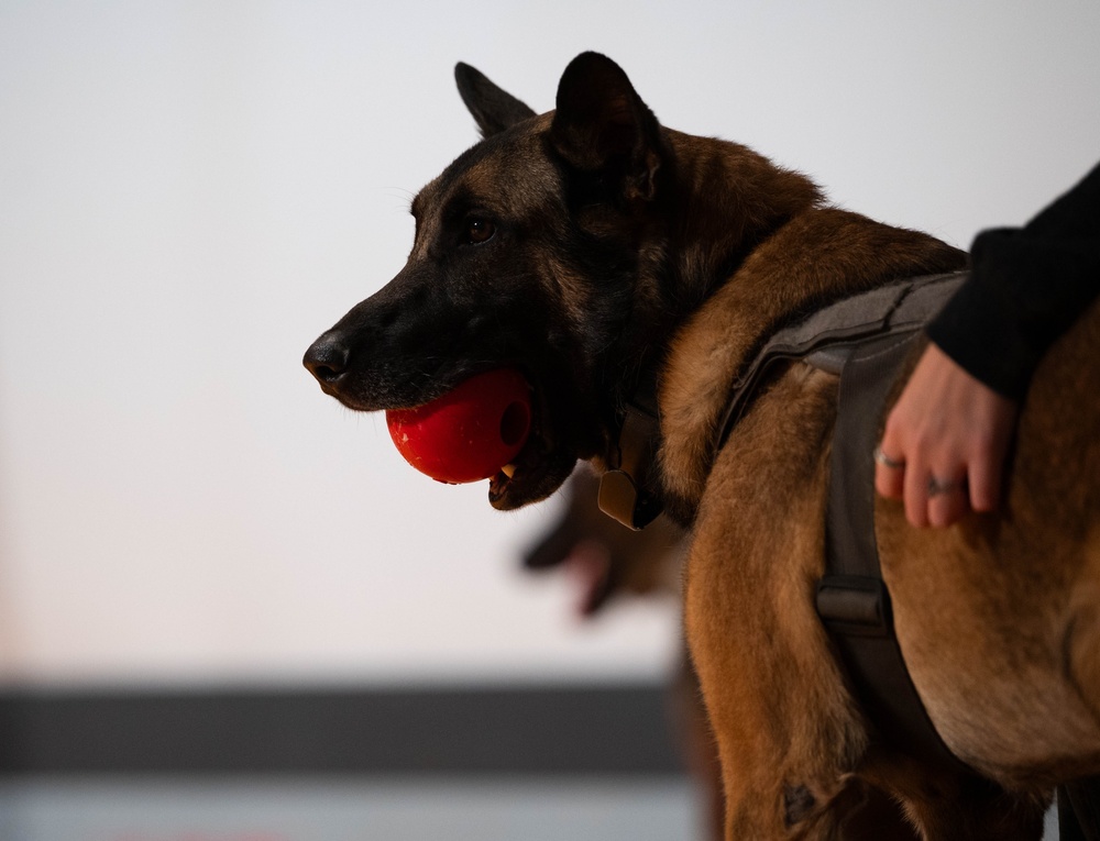 K9 Retirement Ceremony