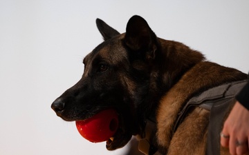 K9 Retirement Ceremony