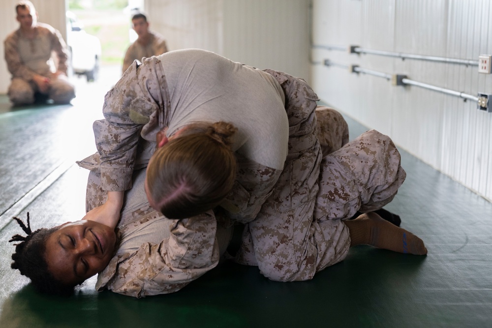 MCMAP Certification Training