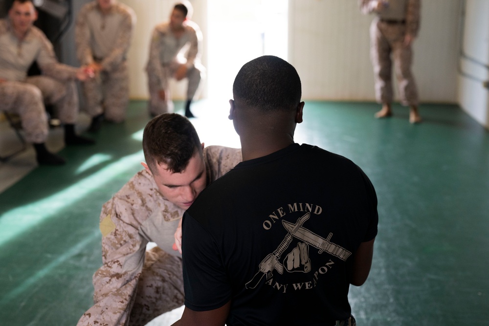 MCMAP Certification Training