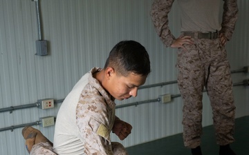 MCMAP certification training