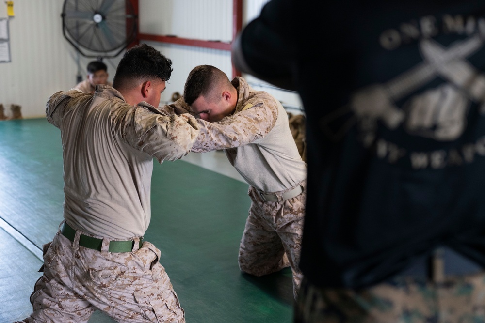 MCMAP certification training