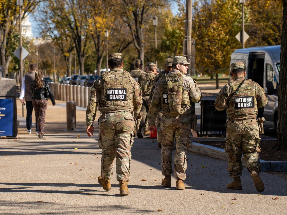 Soldiers provide a presence patrol in the National Mall