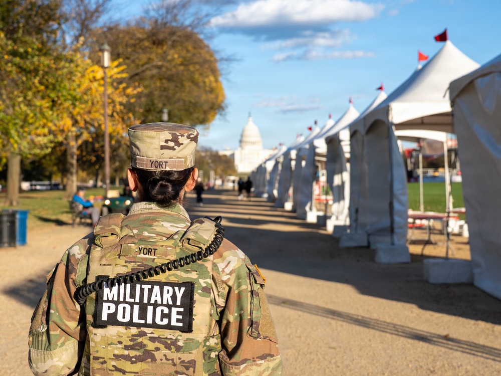 Soldiers provide a presence patrol in the National Mall
