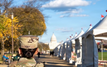 Soldiers provide a presence patrol in the National Mall