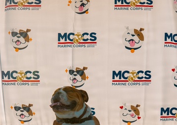 Marine Corps Community Services Fall Festival Event