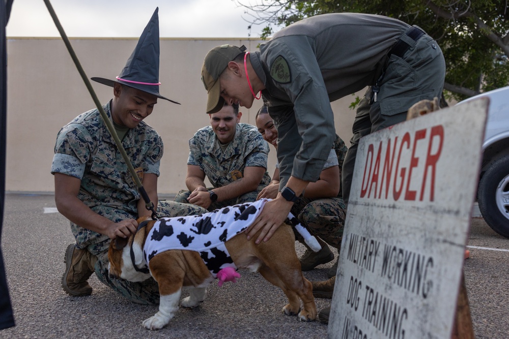 Trunk or Treat