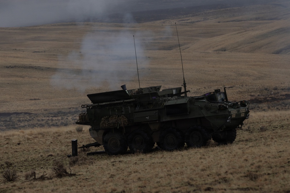 7th Infantry Division Conducts a CALFEX During Rising Thunder 25