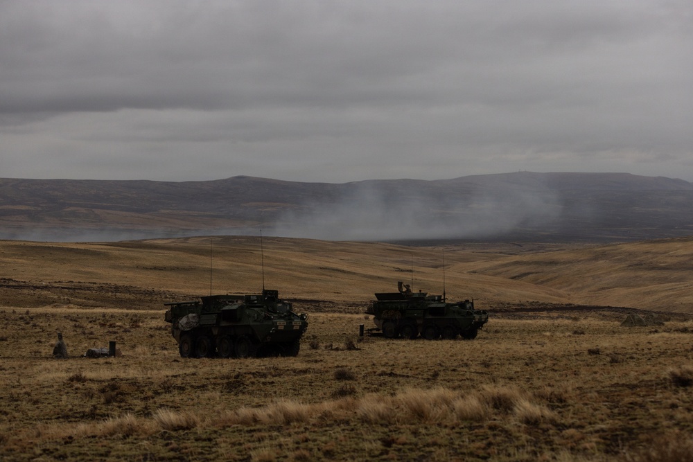 7th Infantry Division Conducts a CALFEX During Rising Thunder 25