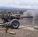 HIARNG 1-487 FAR Live Fire