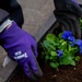 Yokota Airmen bring Fall flowers to Fussa City