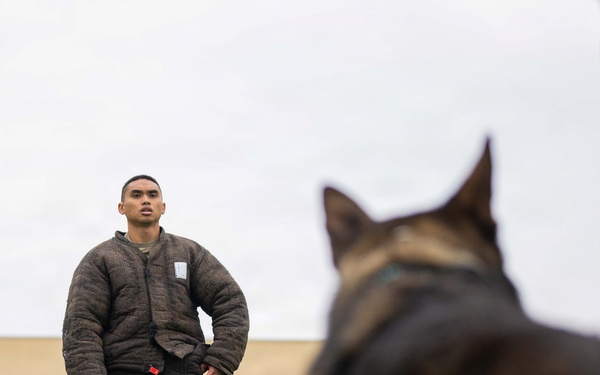 Red Ribbon Week - MWD demonstration