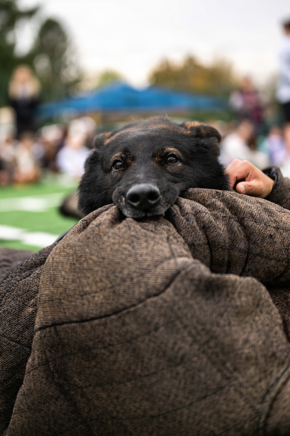 Red Ribbon Week - MWD demonstration
