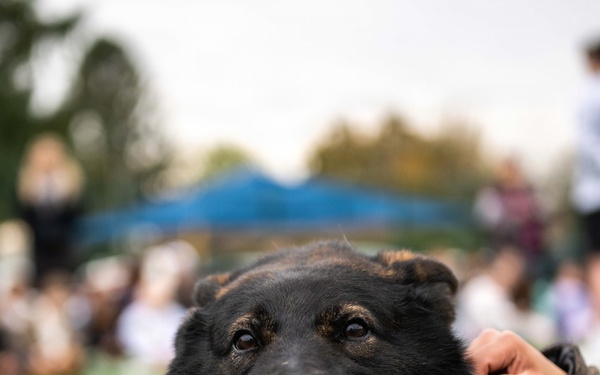 Red Ribbon Week - MWD demonstration