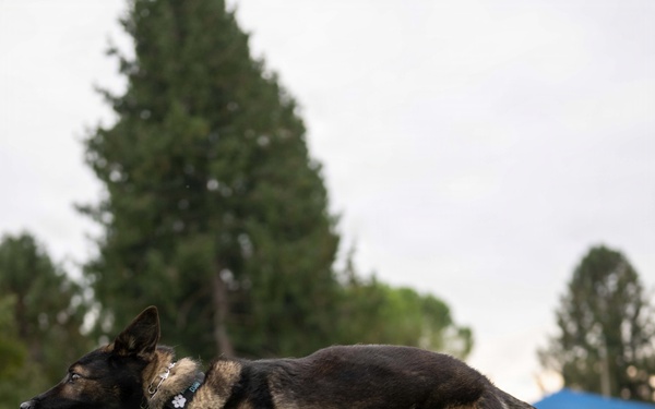 Red Ribbon Week - MWD demonstration