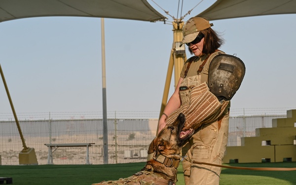 Paws on the ground, eyes on the mission