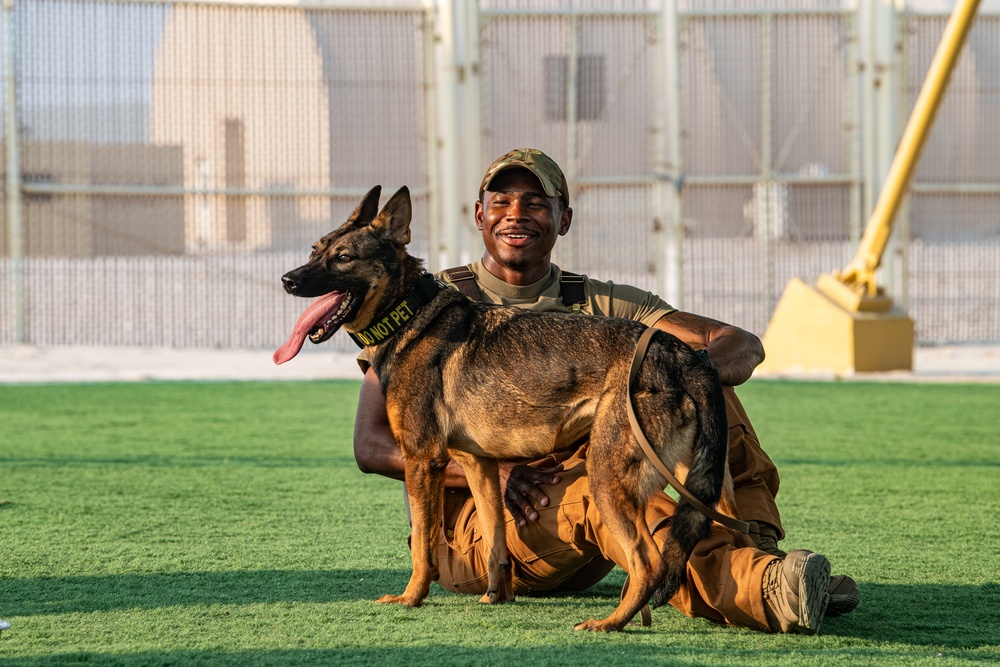 Paws on the ground, eyes on the mission