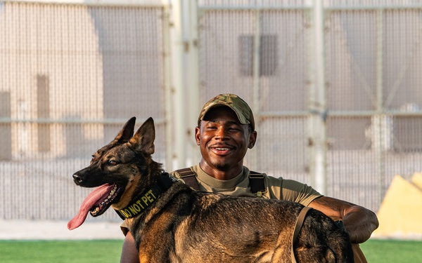 Paws on the ground, eyes on the mission