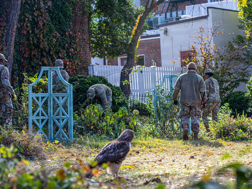 Rock Creek Park cleanup Behind the historic Old Stone House
