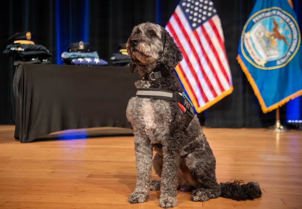K9 Sits During a National Police Week Tribute Ceremony