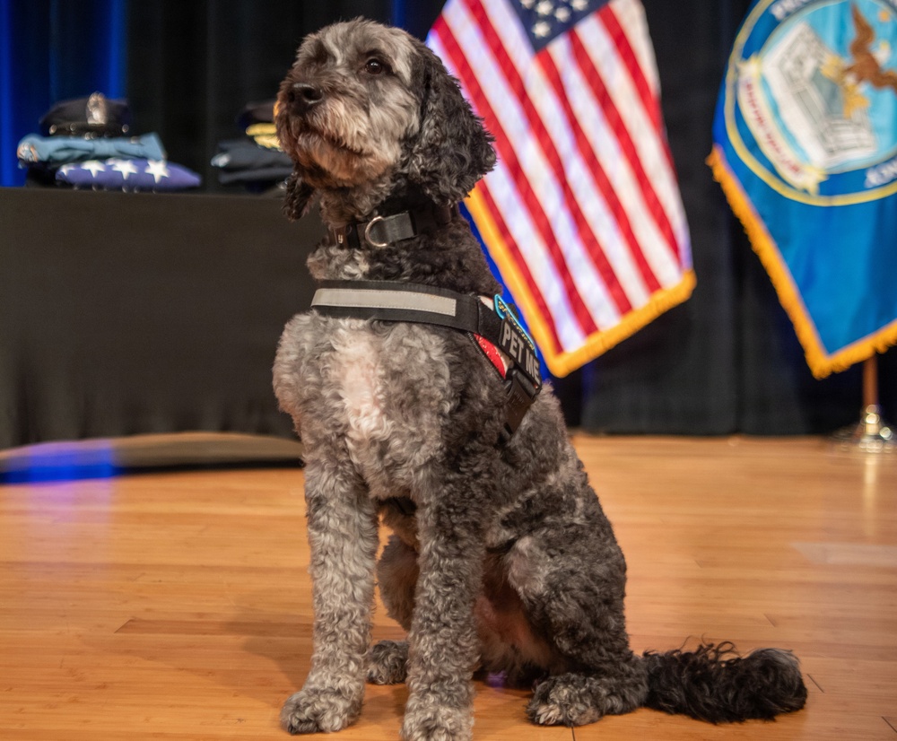 K9 Sits During a National Police Week Tribute Ceremony