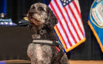 K9 Sits During a National Police Week Tribute Ceremony