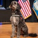 K9 Sits During a National Police Week Tribute Ceremony