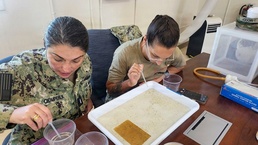 Navy Entomology Center of Excellence Partners with Navy Medicine Readiness and Training Command Guantanamo Bay to Assess Mosquito Resistance to Insecticides