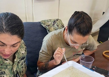 Navy Entomology Center of Excellence Partners with Navy Medicine Readiness and Training Command Guantanamo Bay to Assess Mosquito Resistance to Insecticides