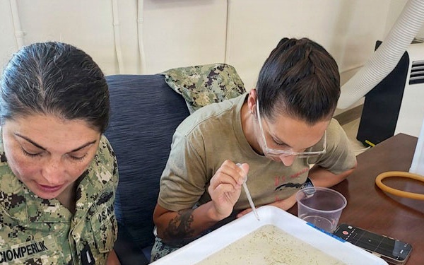 Navy Entomology Center of Excellence Partners with Navy Medicine Readiness and Training Command Guantanamo Bay to Assess Mosquito Resistance to Insecticides