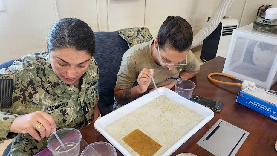 Navy Entomology Center of Excellence Partners with Navy Medicine Readiness and Training Command Guantanamo Bay to Assess Mosquito Resistance to Insecticides